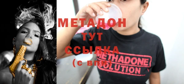 индика Алексеевка