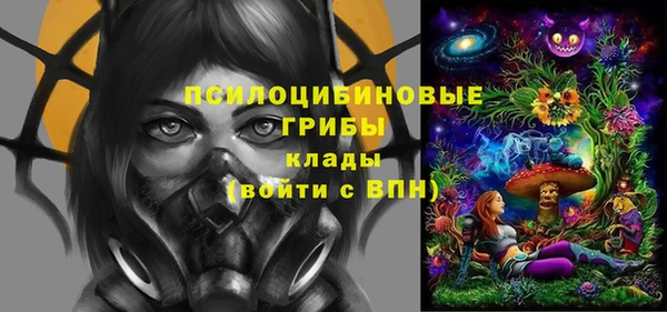 хмурый Алексин