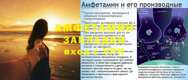 хмурый Алексин