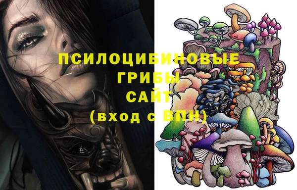индика Алексеевка