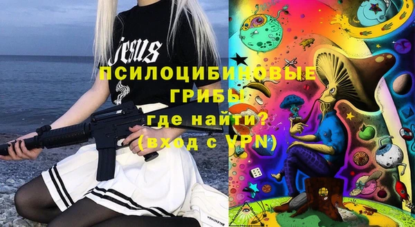 индика Алексеевка