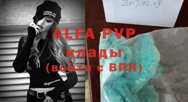 хмурый Алексин